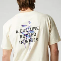 Mystic Culture><noscript><img width=